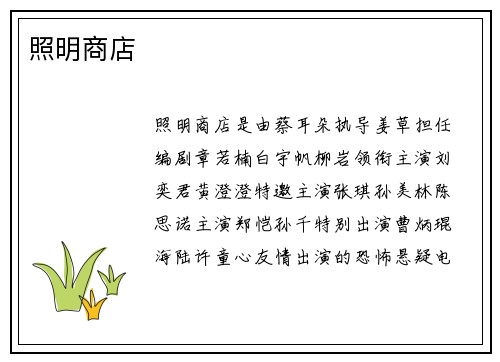 照明商店