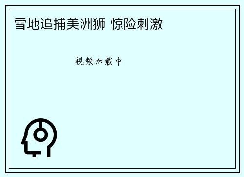 雪地追捕美洲狮 惊险刺激